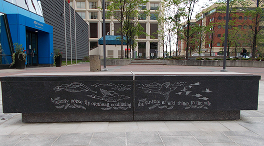 Public Art Projects